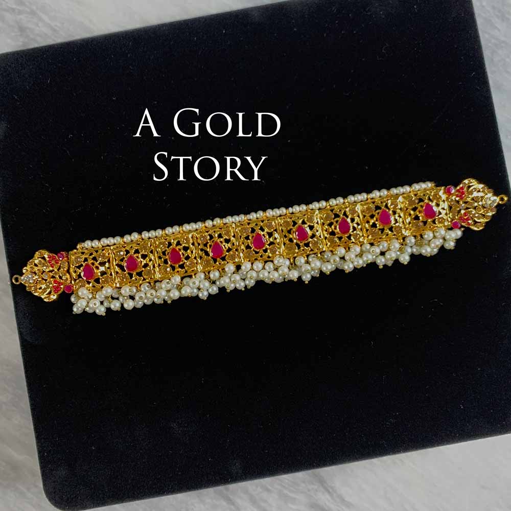 PARISA CHOKER